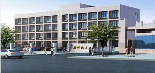 Q . 湖南新岭化工股份