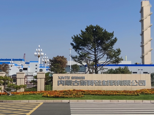22 内蒙古新特硅材料有限公司 (4)