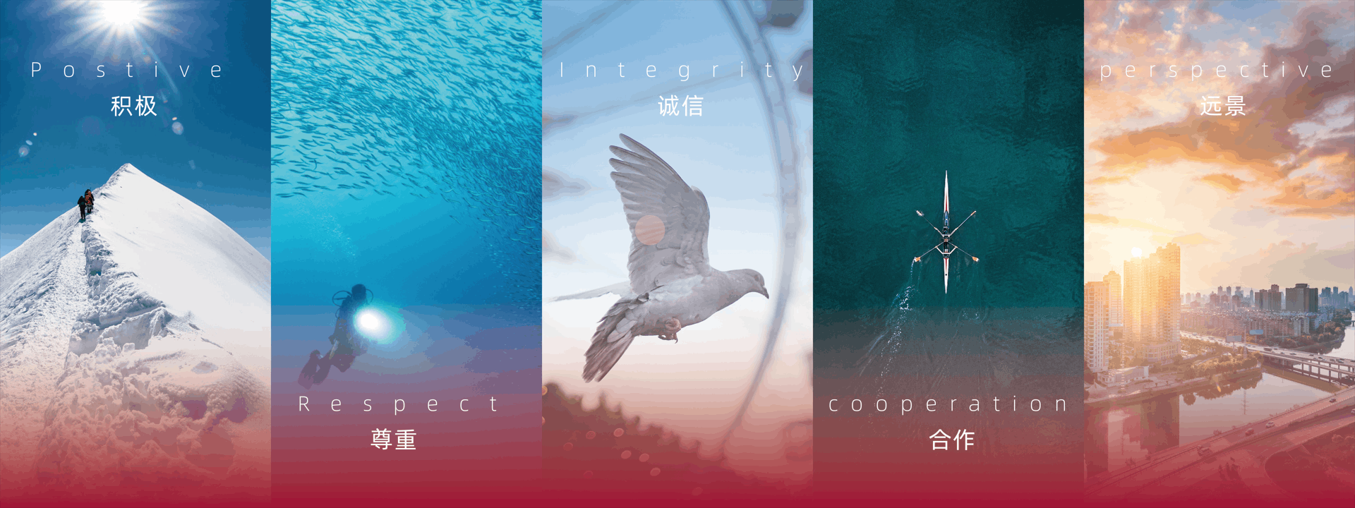 积极，尊重，诚信，合作，远景